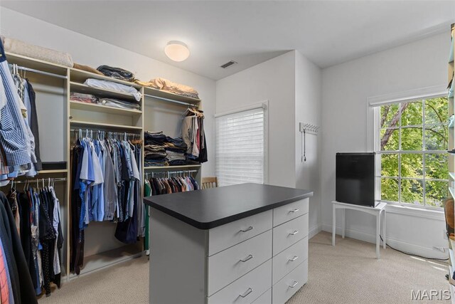 248 Gay Ave, Clayton, MO 63105 - walk in closet with light colored carpet