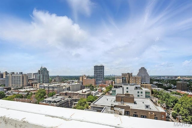 4501 Lindell Blvd Unit 9A, Saint Louis, MO 63108 - view of city