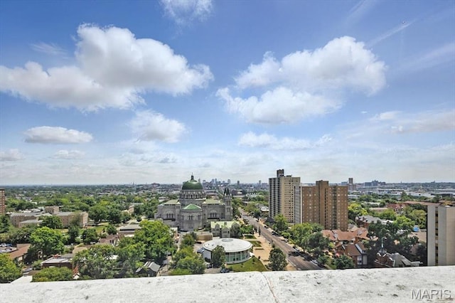 4501 Lindell Blvd Unit 9A, Saint Louis, MO 63108 - city view