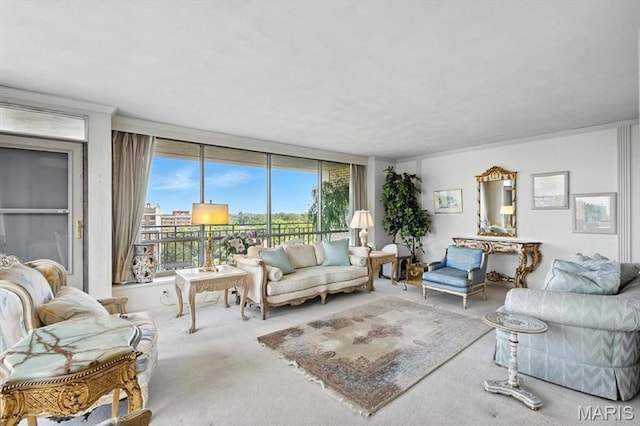 4501 Lindell Blvd Unit 9A, Saint Louis, MO 63108 - view of carpeted living area
