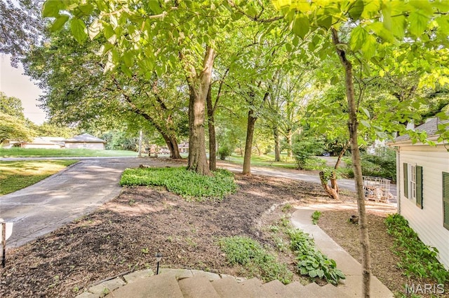 67 Kings Dr, Florissant, MO 63034 - view of yard