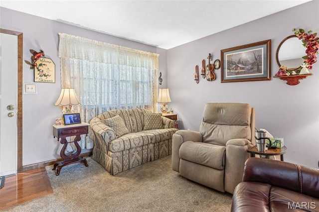 1301 Camillia St, Farmington, MO 63640 - view of living room