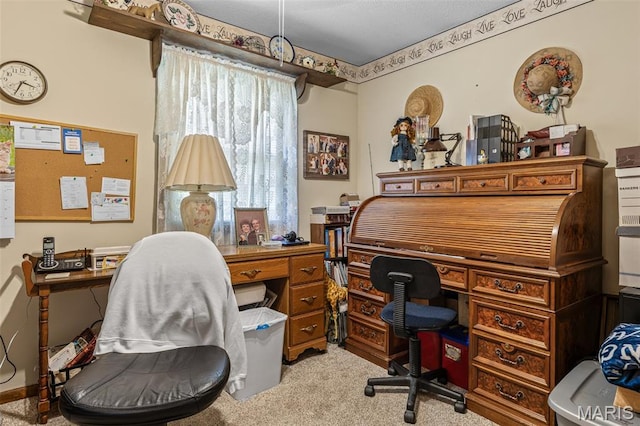 1301 Camillia St, Farmington, MO 63640 - office area featuring light colored carpet