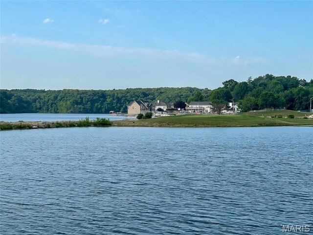 10577 Village Ln, Foristell, MO 63348 - photo 42