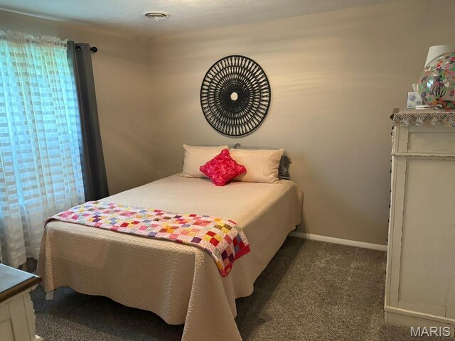 422 W Dover St, Monroe City, MO 63456 - bedroom with carpet floors and baseboards