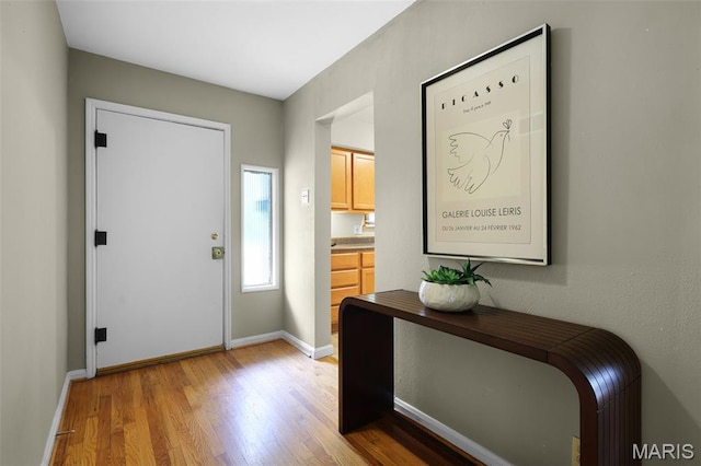 450 Forest Green Dr, Webster Groves, MO 63119 - entryway with light wood-style floors and baseboards