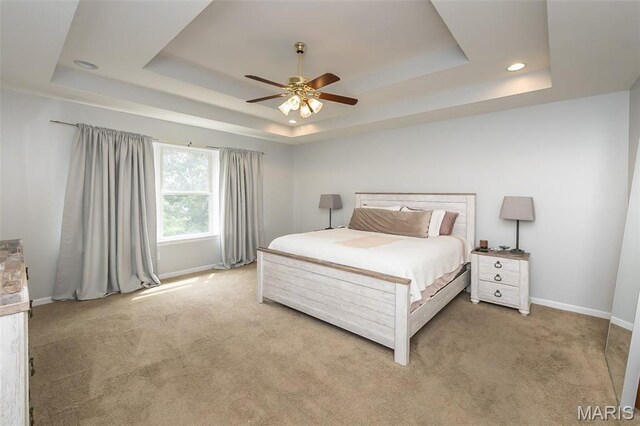 14 Liberty Creek Ct, Wentzville, MO 63385 - photo 20