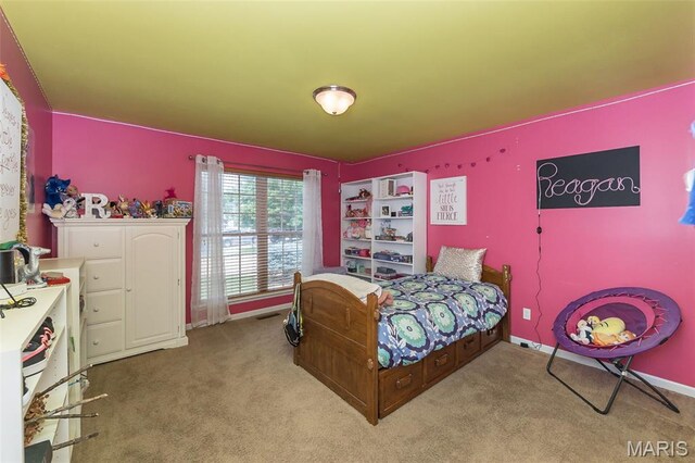 14 Liberty Creek Ct, Wentzville, MO 63385 - photo 24