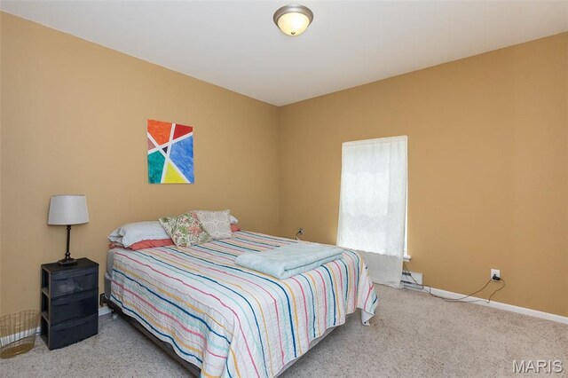 14 Liberty Creek Ct, Wentzville, MO 63385 - photo 30