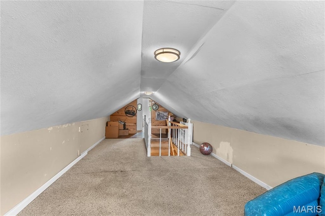 115 Whitener St, Marquand, MO 63655 - bonus room featuring vaulted ceiling, a textured ceiling, and carpet flooring