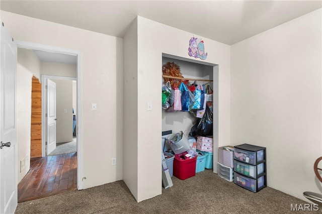 115 Whitener St, Marquand, MO 63655 - view of closet