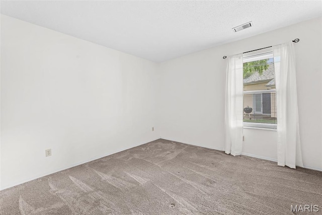 334 Devonshire Ct Unit A, Saint Peters, MO 63376 - empty room with carpet floors and a textured ceiling