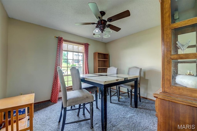 6048 La Chateau Ct, Saint Louis, MO 63129 - dining area featuring carpet flooring, a ceiling fan, and a textured ceiling