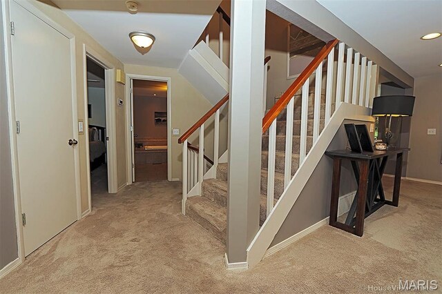 166 S Redbud Ln, Jackson, MO 63755 - photo 15