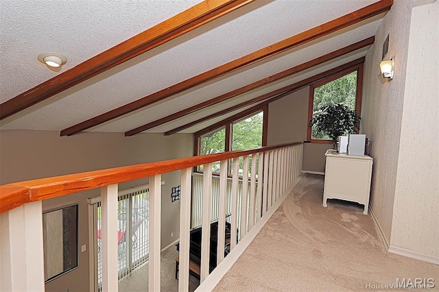 166 S Redbud Ln, Jackson, MO 63755 - photo 44