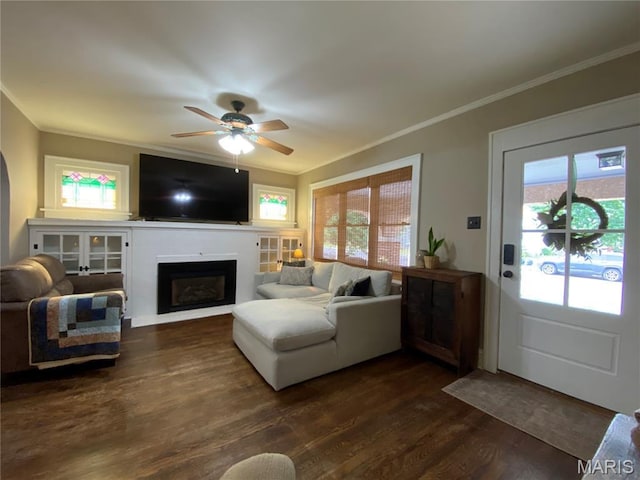 218 W 6th St, Hermann, MO 65041 - living room with ornamental molding, a fireplace, a ceiling fan, dark wood-type flooring, and plenty of natural light