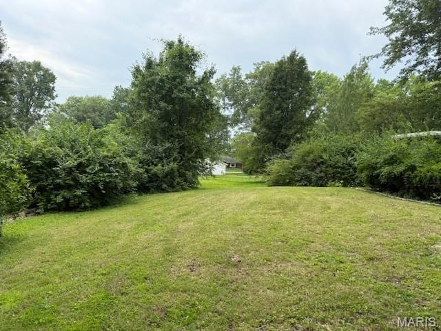 207 Hunter St, Lebanon, IL 62254 - view of grassy yard