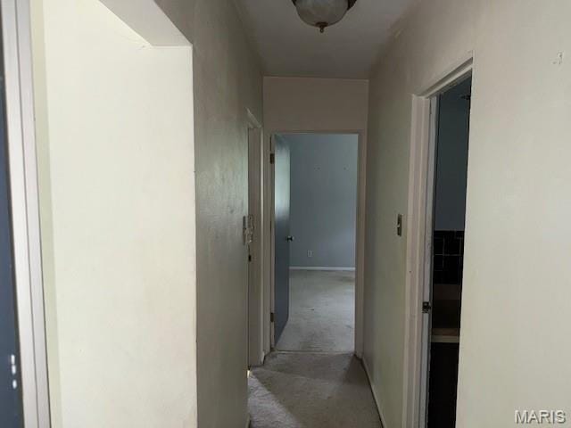 207 Hunter St, Lebanon, IL 62254 - hallway with light colored carpet