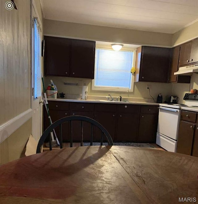 1005 Burford Ct, Doniphan, MO 63935 - kitchen with white electric range oven, under cabinet range hood, light countertops, and dark brown cabinets