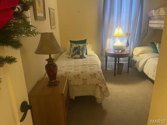 815 Gail St, Charleston, MO 63834 - photo 11