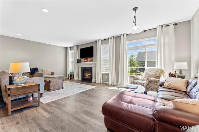 2333 Cabric Dr, Saint Charles, MO 63301 - living room with a glass covered fireplace, wood finished floors, and recessed lighting