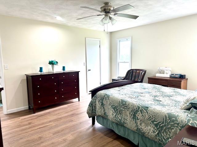 256 Black Oak Trl, Jackson, MO 63755 - bedroom featuring light wood finished floors and a ceiling fan