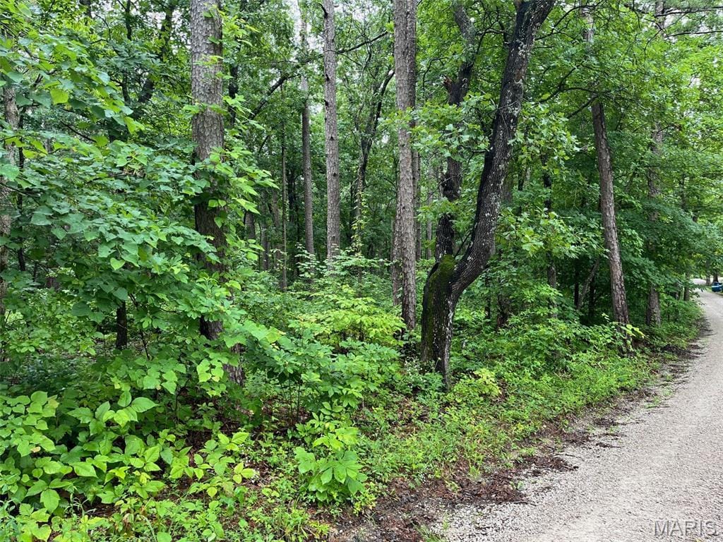 0 Crestwood Rd, Potosi, MO 63664