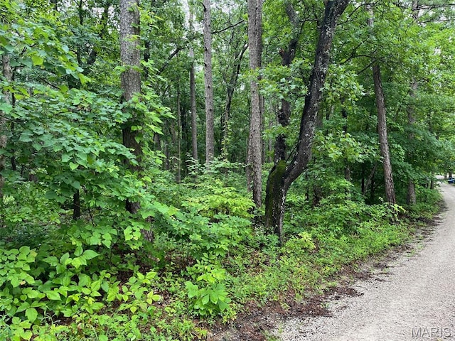 0 Crestwood Rd, Potosi, MO 63664