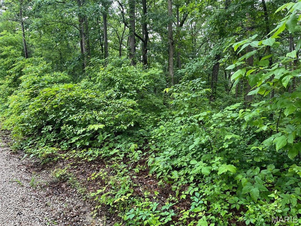 0 Crestwood Rd, Potosi, MO 63664
