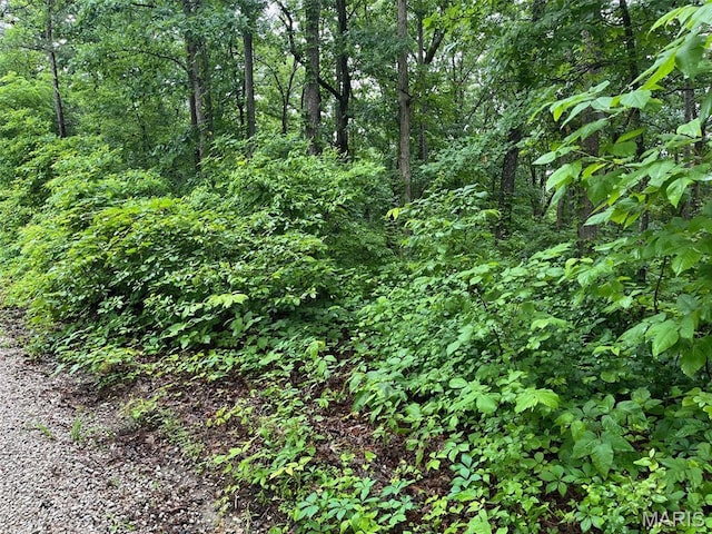 0 Crestwood Rd, Potosi, MO 63664