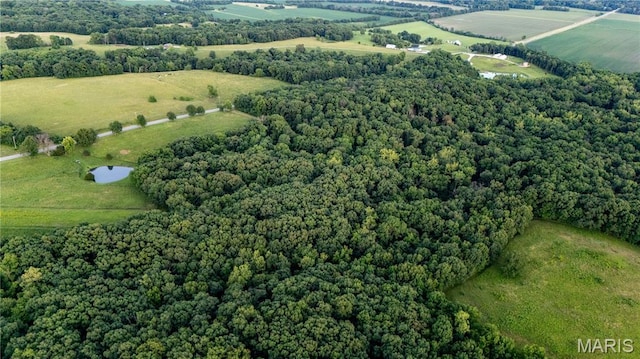 0 State Highway F, Center, MO 63436