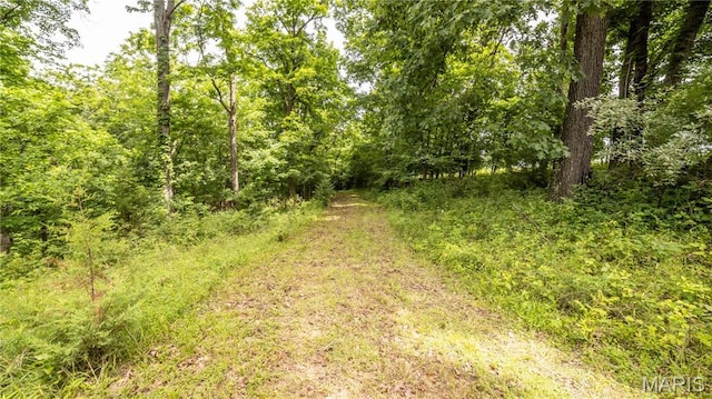 0 State Highway F, Center, MO 63436