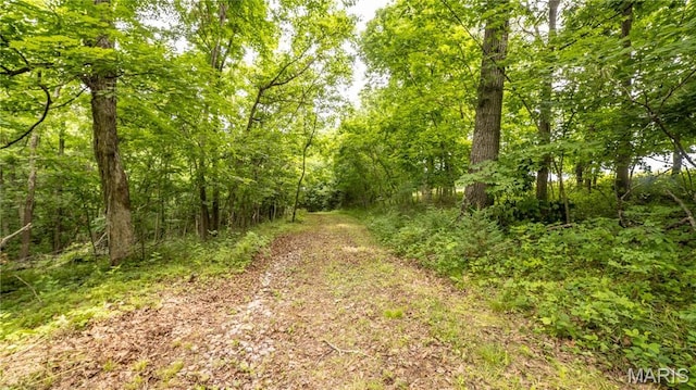 0 State Highway F, Center, MO 63436