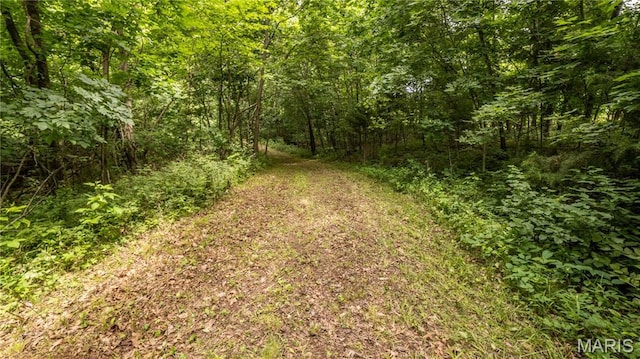 0 State Highway F, Center, MO 63436