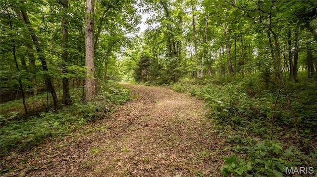 0 State Highway F, Center, MO 63436