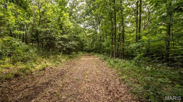 0 State Highway F, Center, MO 63436