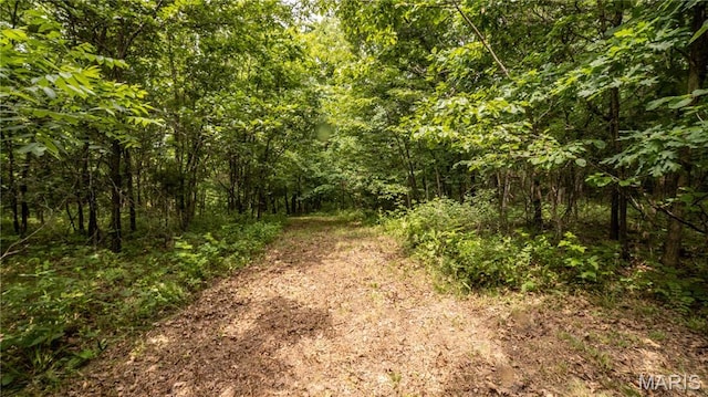 0 State Highway F, Center, MO 63436