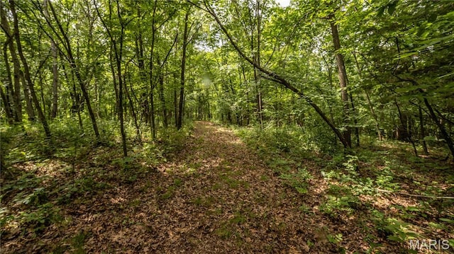 0 State Highway F, Center, MO 63436