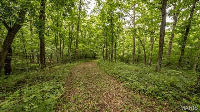 0 State Highway F, Center, MO 63436