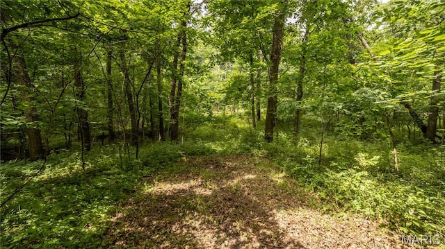 0 State Highway F, Center, MO 63436