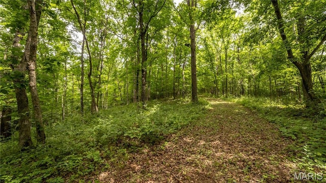 0 State Highway F, Center, MO 63436