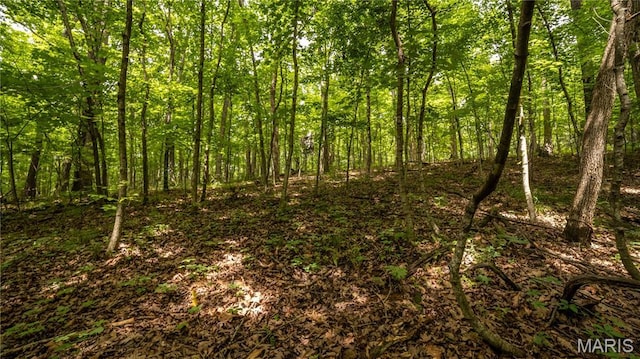 0 State Highway F, Center, MO 63436