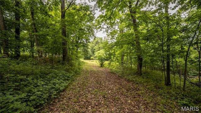 0 State Highway F, Center, MO 63436