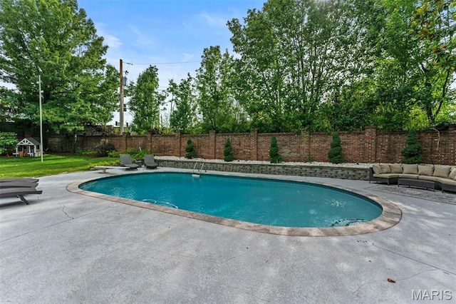 1259 Hampton Park Dr, Richmond Heights, MO 63117 - view of swimming pool with a patio, a fenced backyard, and a diving board