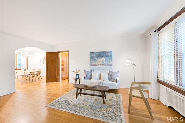 8100 Delmar Blvd Unit 1W, University City, MO 63130 - living room featuring radiator, arched walkways, and healthy amount of natural light