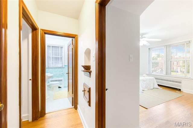 8100 Delmar Blvd Unit 1W, University City, MO 63130 - hallway with radiator heating unit and light wood-style floors