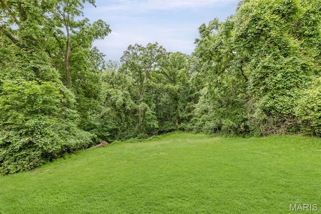 3120 Hawthorne Blvd, Alton, IL 62002 - view of grassy yard