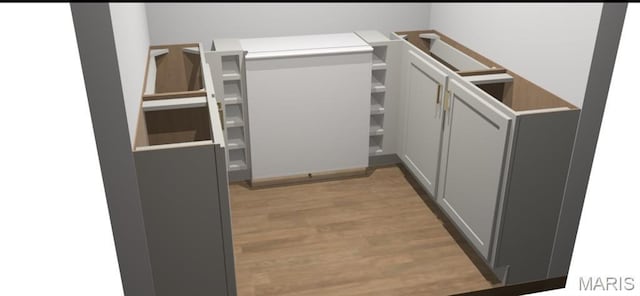 14005 Osage Dr, New London, MO 63459 - walk in closet with light wood-style flooring