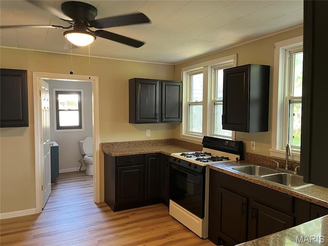 1032 W Pearl St, Staunton, IL 62088 - kitchen with range with gas cooktop, light wood-style flooring, ceiling fan, and crown molding
