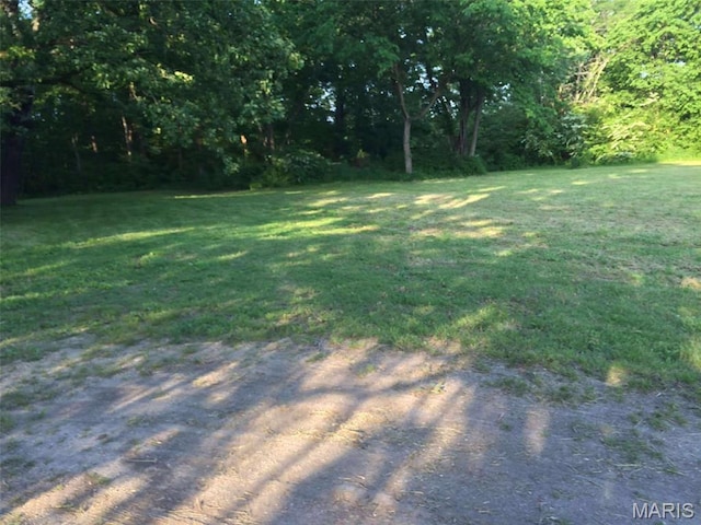 2794 US Highway 160, Doniphan, MO 63935 - view of grassy yard